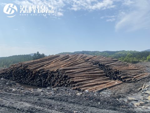 河道打樁為什么選擇松木樁來處理軟地基？-松木樁施工使用范圍